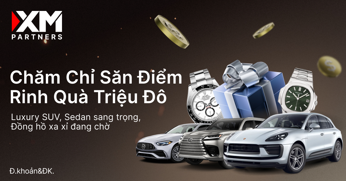 Từ Công Sức Đến Vinh Quang: PRP Biến Nỗ Lực Của IB Thành Động Lực Bền Vững