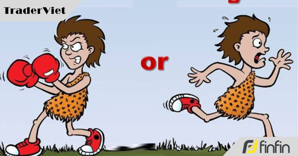 Hiện tượng "chiến hay chạy" trong trading