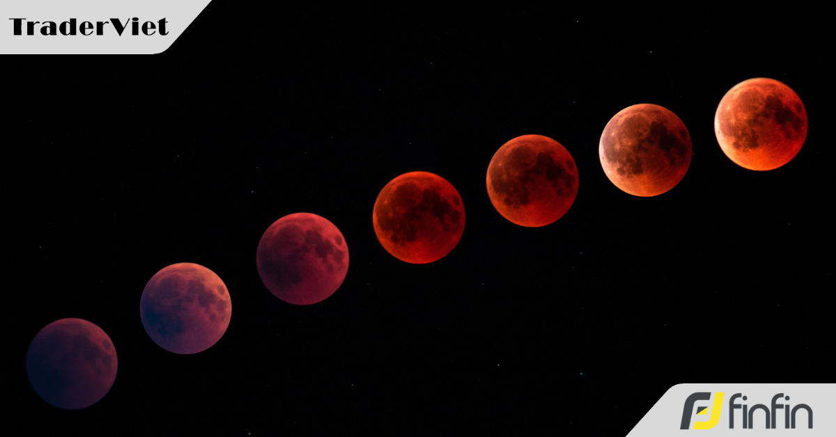 2 yếu tố chu kỳ mà mỗi Trader đều cần phải nắm