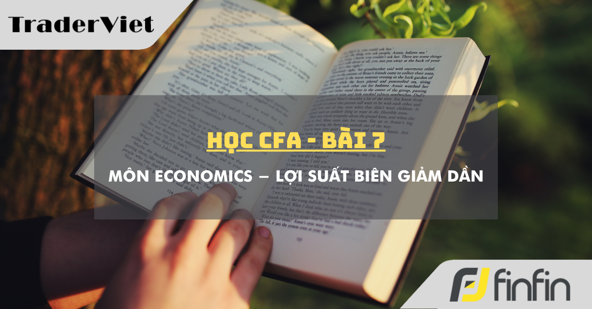 Học CFA (bài 7): Môn Economics - Lợi suất biên giảm dần
