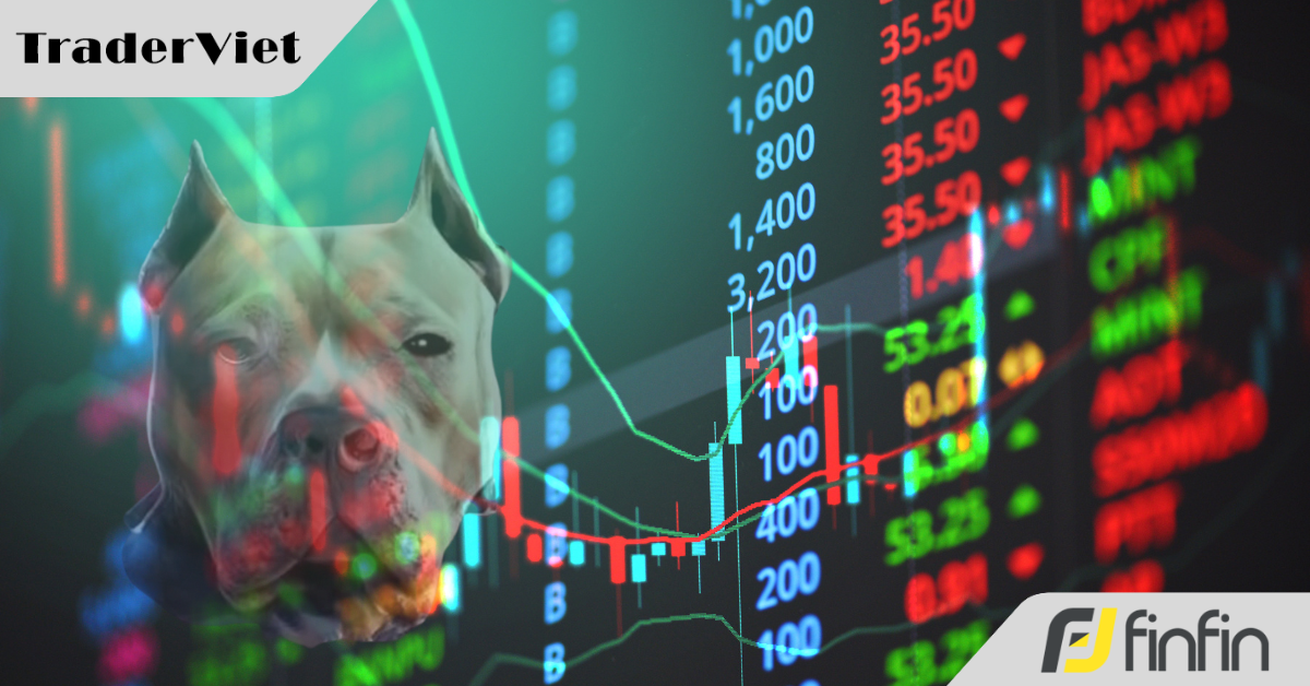 "PitBull" của giới trader và những kinh nghiệm xương máu của ông