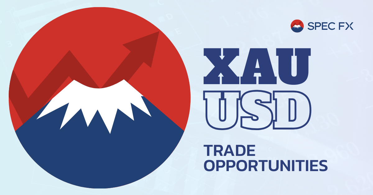 Cơn sốt vàng - Còn kéo dài đến bao giờ?