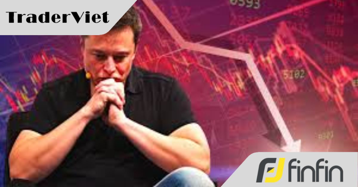 Canh bạc cay đắng của Elon Musk
