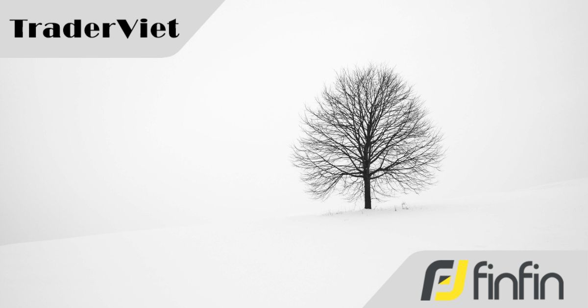 Mình như là một con người khác khi biết đến Forex