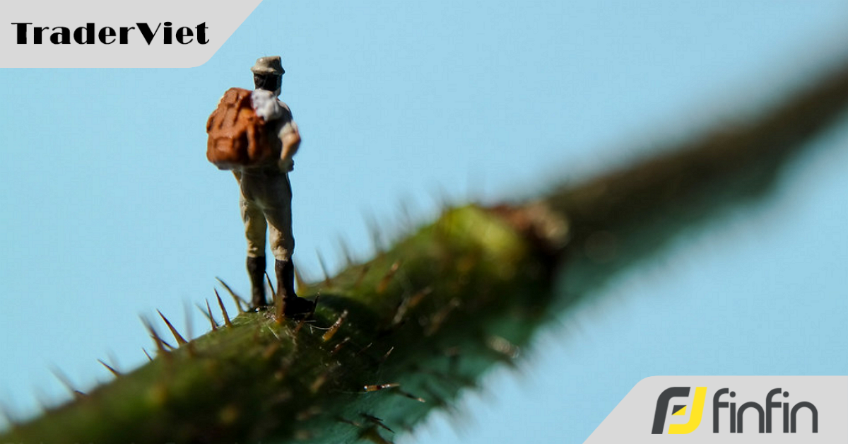 Bốn cạm bẫy xã hội cản trở sự giàu có của một đời người