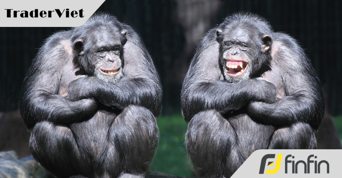 Bất ngờ với số tiền khắc phục hậu quả của Shark Thủy sau khi chiếm đoạt hơn 7.600 tỷ