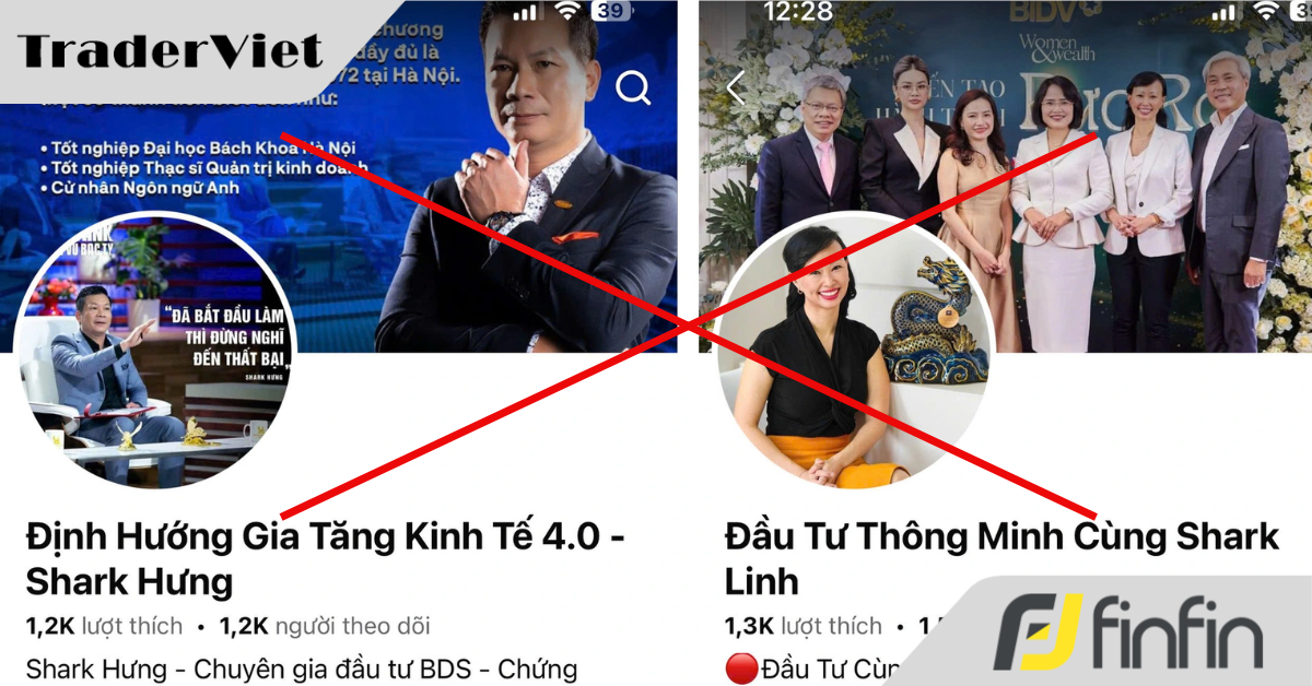 Hội nhóm kêu gọi đầu tư cùng 'Shark tank' mọc lên như nấm sau mưa