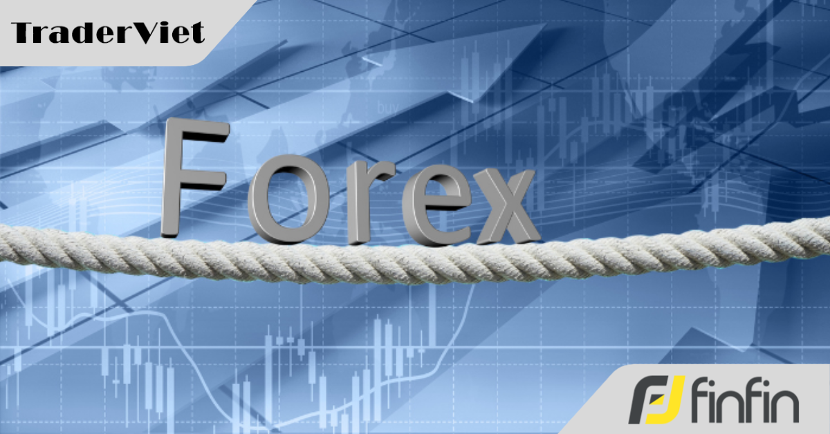Một đội nhóm Forex Việt bị lên báo Công an