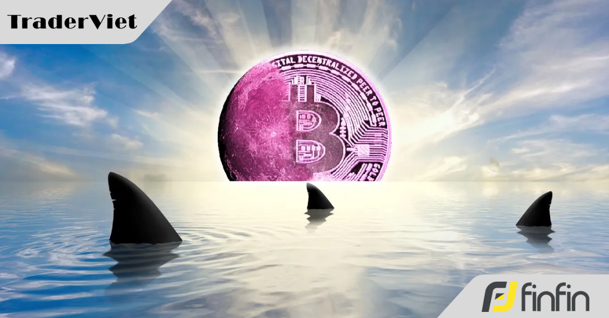 Hôm nay trade coin gì? - 17/6: Vẫn chỉ hold