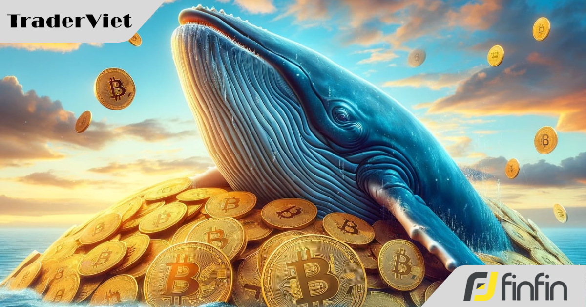 Cá voi Bitcoin đã bán 1,2 tỷ đô la BTC trong hai tuần qua
