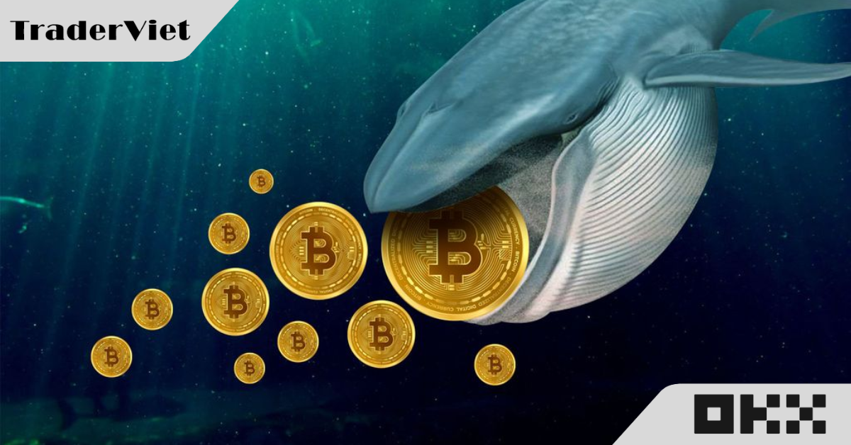 Các quỹ đầu tư lớn tiếp tục gom Bitcoin