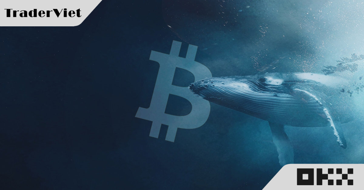 'Cá voi' đang lên kế hoạch cho một đợt tăng giá khác của Altcoin