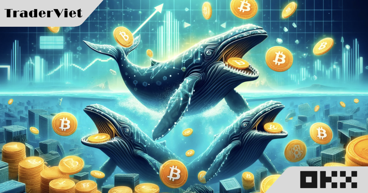 MicroStrategy đang nắm giữ lượng Bitcoin trị giá 13,5 tỷ USD