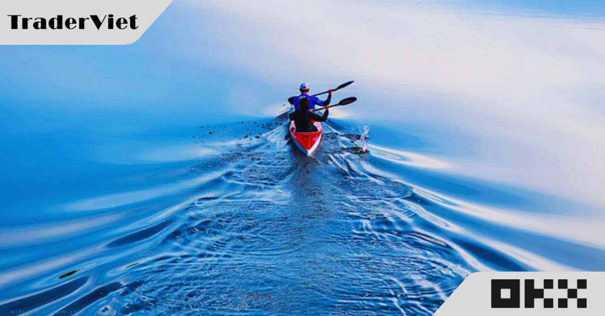 Hôm nay trade coin gì? - 03/12: Vững tay chèo