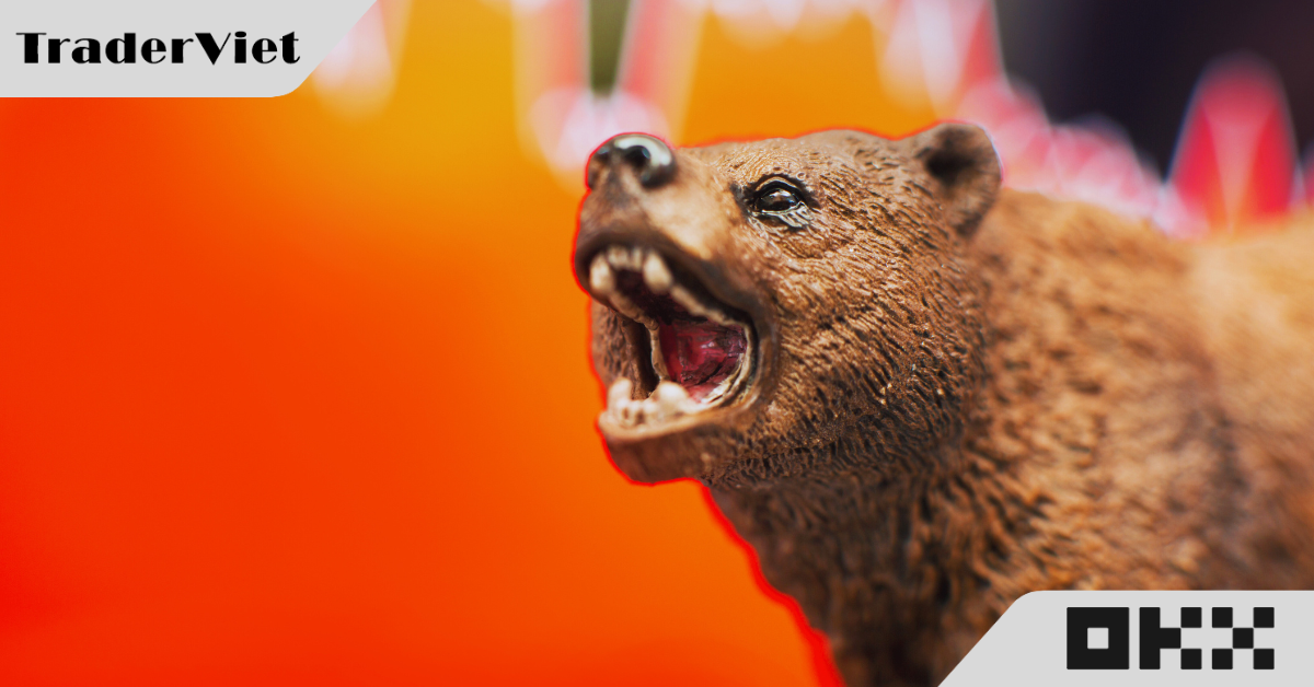 Hôm nay trade coin gì? - 31/12: Phe Gấu chiếm ưu thế