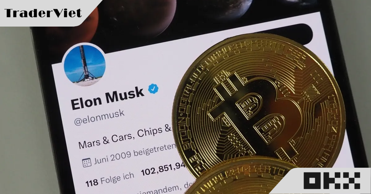 Elon Musk xem xét ứng dụng blockchain trong chính phủ Mỹ