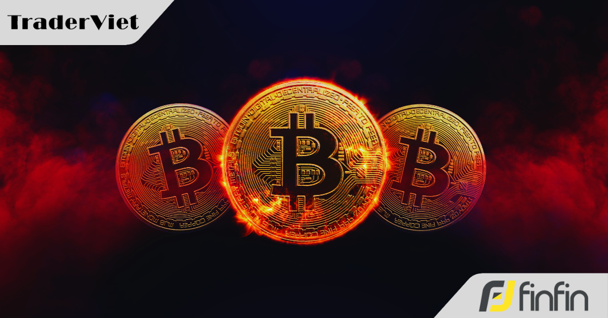 Hơn 135.000 người 'cháy' tài khoản vì Bitcoin lao dốc