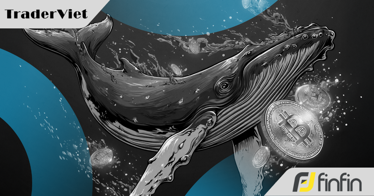 Con trai Tổng thống Donald Trump dự báo giá Bitcoin có thể lên đến 1 triệu USD