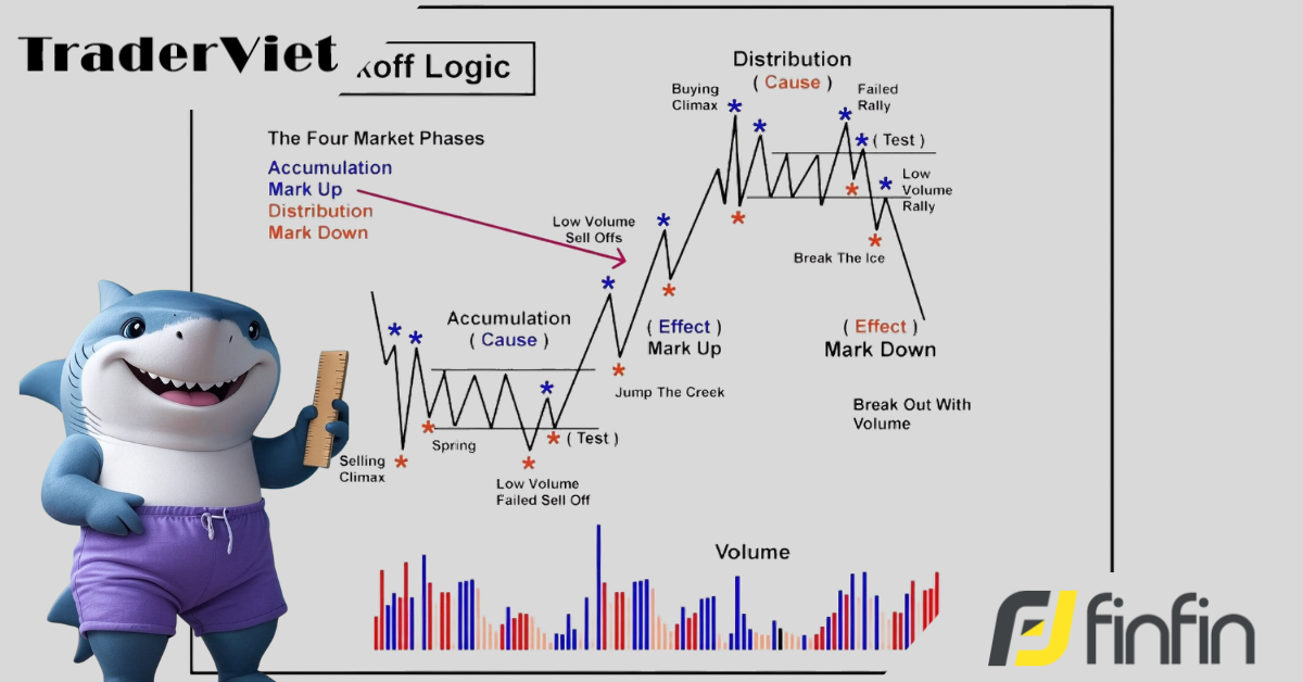Giải Mã Tích Lũy Wyckoff: Thấu Hiểu "Nguyên Nhân" Trước Khi Giá Tăng