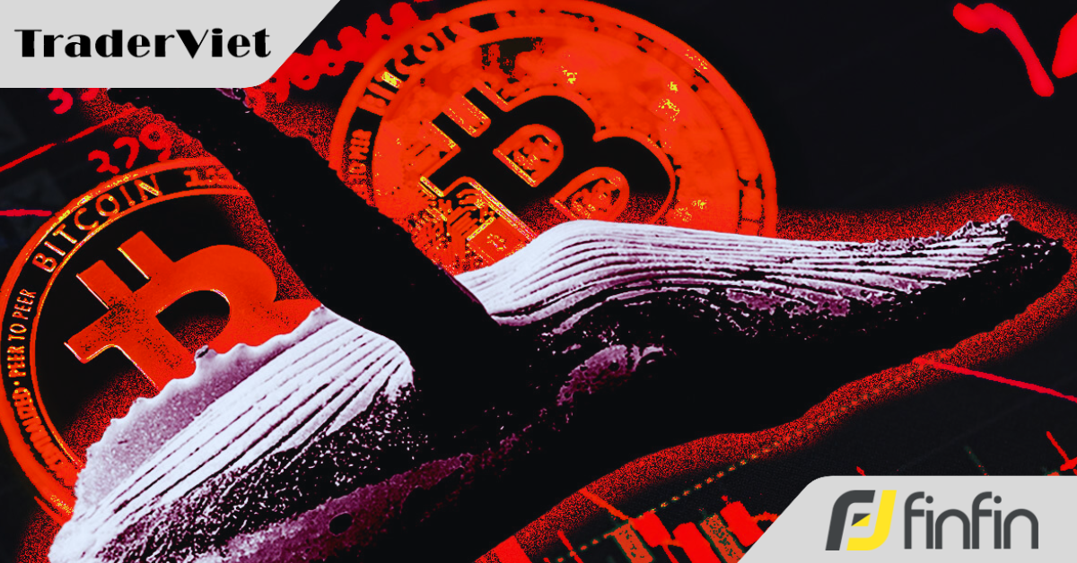 Các 'cá mập' có dấu hiệu tháo chạy khỏi Bitcoin