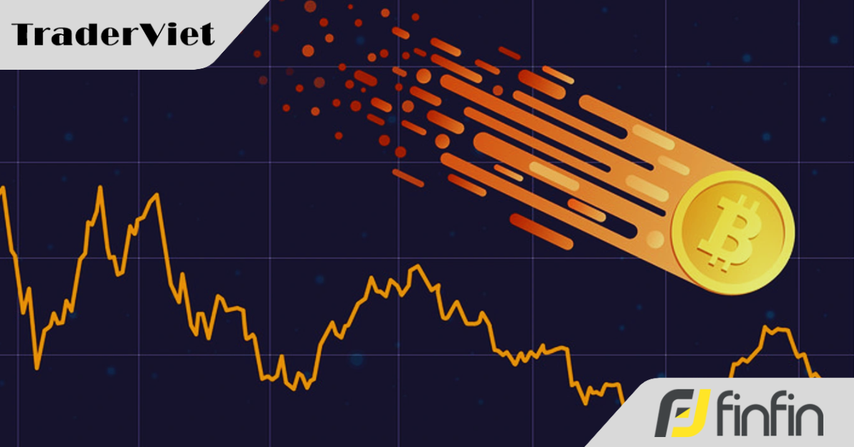 Bitcoin lao dốc, "cá voi" cười hỉ hả nhưng chuyên gia đưa cảnh báo nóng