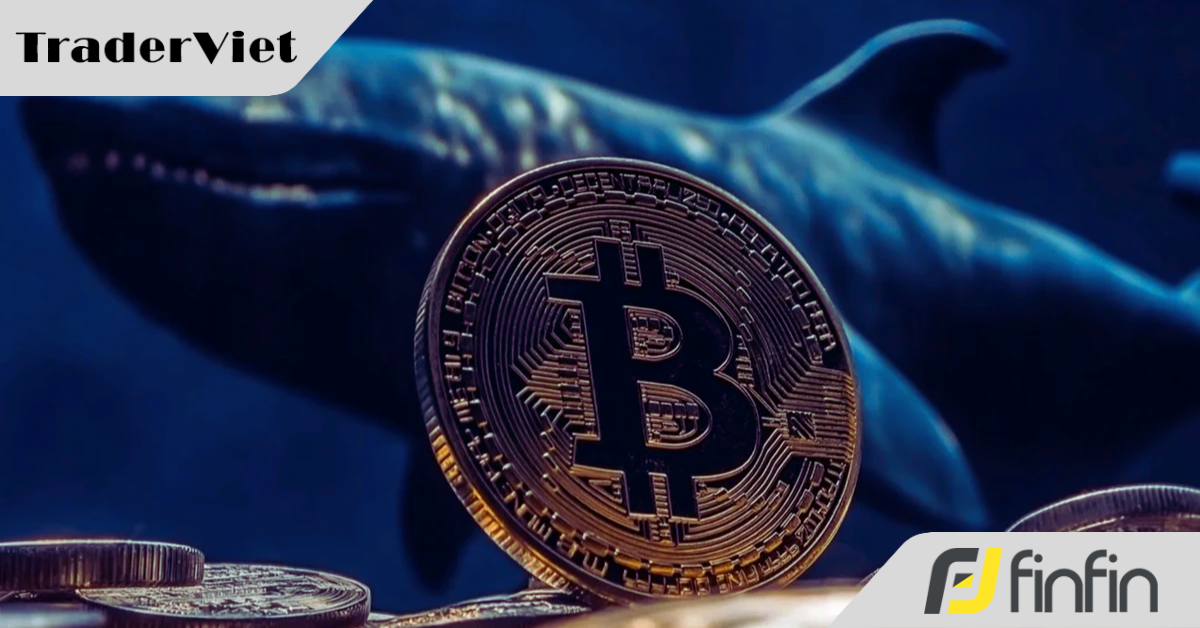 "Cá voi" Bitcoin bất ngờ quay xe