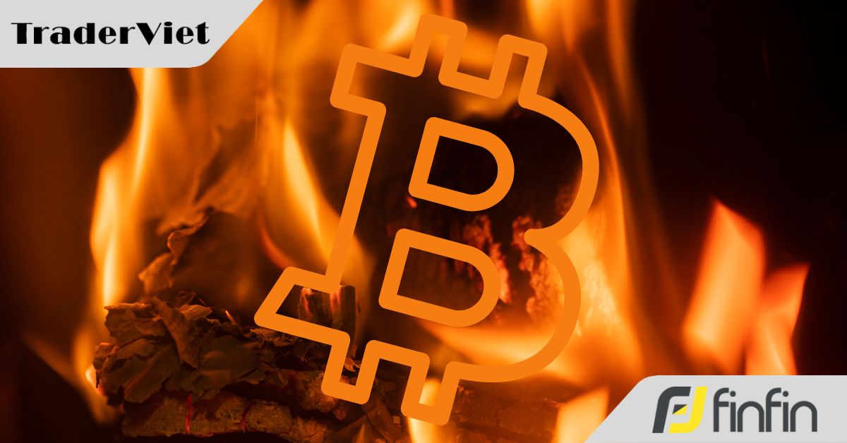 Hai biến số khiến chu kỳ giảm của tiền điện tử khác thường