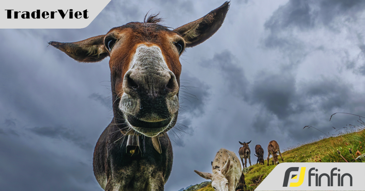 Cắt ghép hình ảnh giả mạo Cục Du lịch để quảng cáo tiền ảo