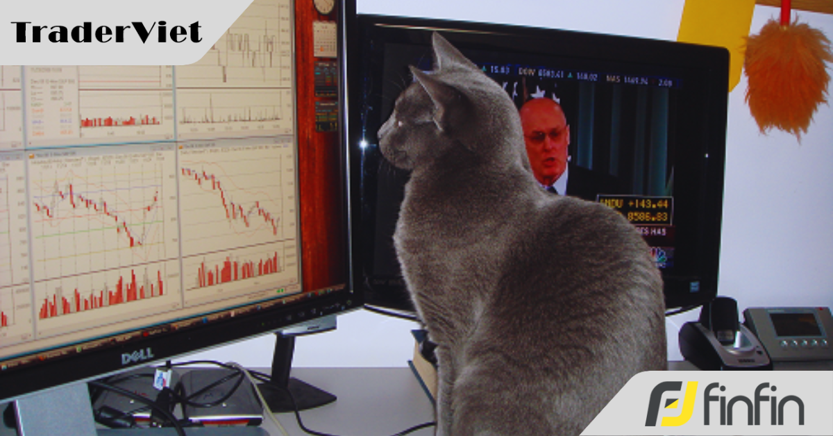 Sự tiến bộ thực sự trong trading diễn ra một cách âm thầm