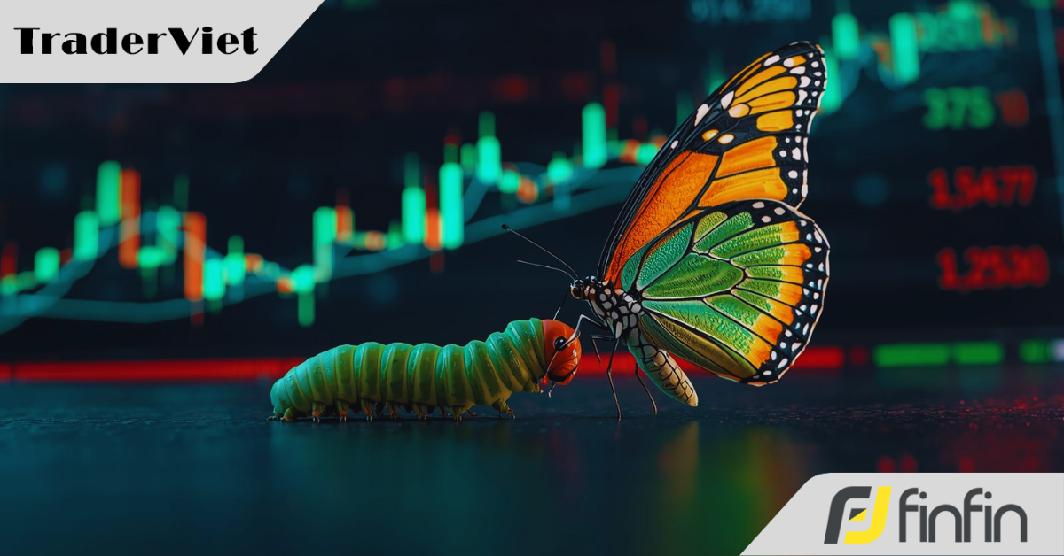 4 Giai Đoạn Tiến Hóa Trong Giao Dịch: Tại Sao Bạn Không Thể Bỏ Qua Các Phiên Bản