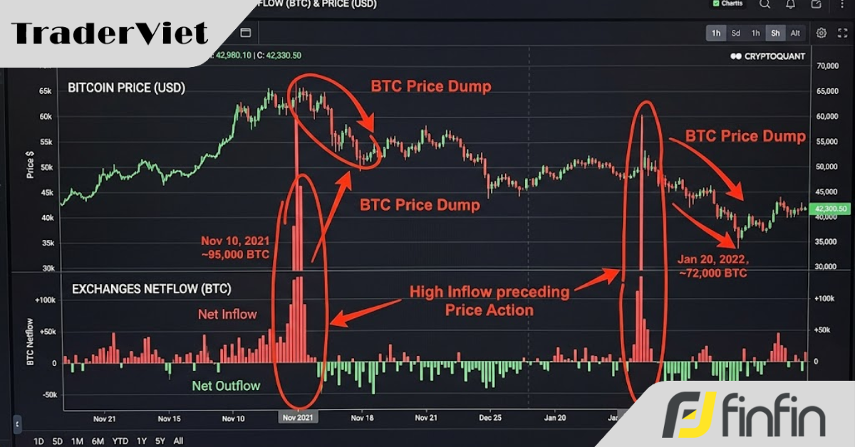 Phân tích On-chain nhập môn: Đọc vị hành vi của "Tay To" để không trở thành thanh khoản