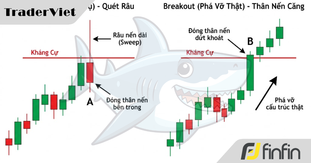 Phân biệt Inducement (Lệnh Dụ) và Breakout (Phá Vỡ Thật) – Bí quyết để không làm "Thanh Khoản" cho Cá mập