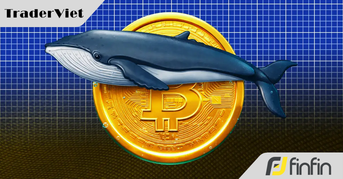 Người sở hữu nhiều Bitcoin chuyển từ đầu cơ sang khai thác tài sản tạo thu nhập