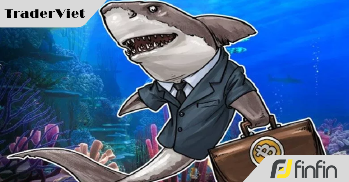 Các 'cá mập' tài chính đang đổ tiền trở lại vào Bitcoin