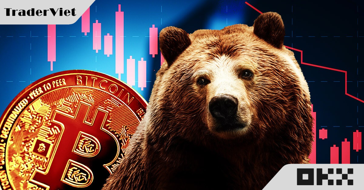 Hôm nay trade coin gì? - 20/12: Điều chỉnh là cần thiết