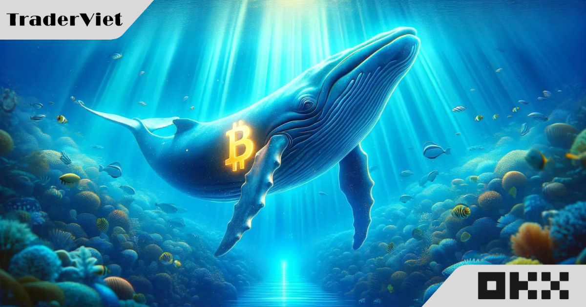 Bitcoin tăng mạnh, lập kỷ lục mới, chuyên gia dự báo sốc về giá trị trong tương lai