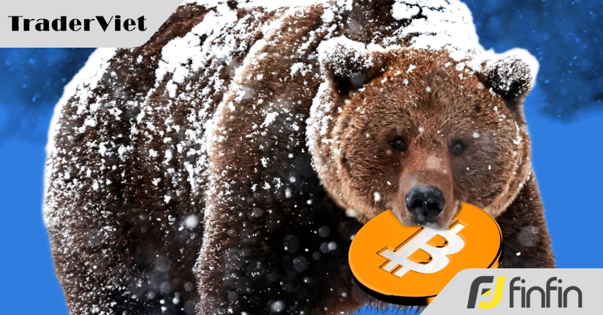 Dấu hiệu kết thúc chu kỳ giảm giá của Bitcoin xuất hiện