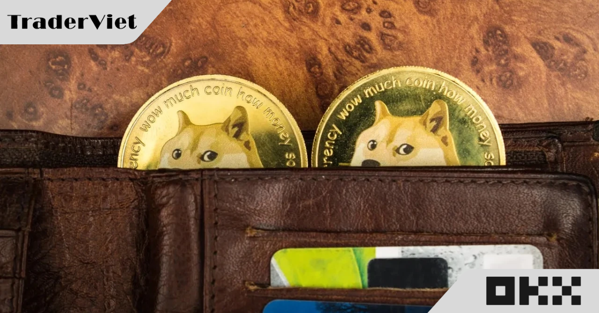 Thanh niên 2 lần trở thành triệu phú nhờ Dogecoin