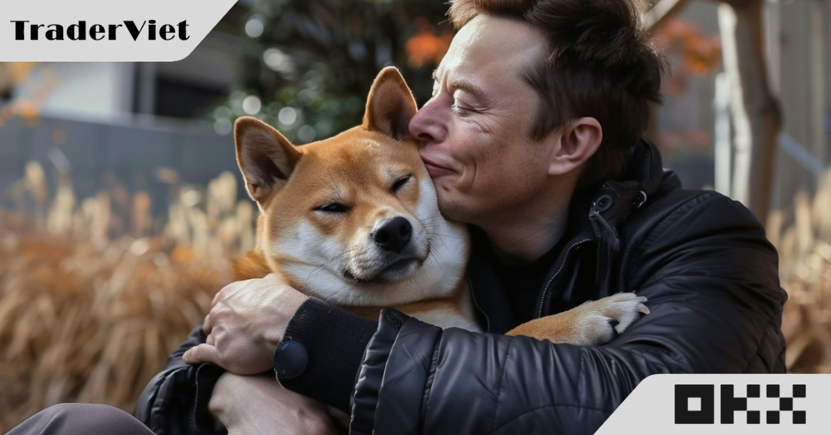 Vụ kiện Elon Musk 'thao túng' Dogecoin đến hồi kết