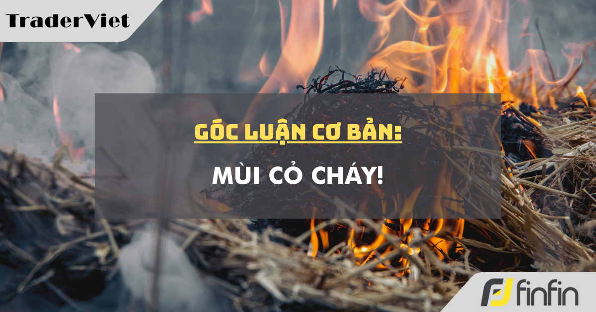 Góc luận Cơ bản 03/09: Mùi cỏ cháy!