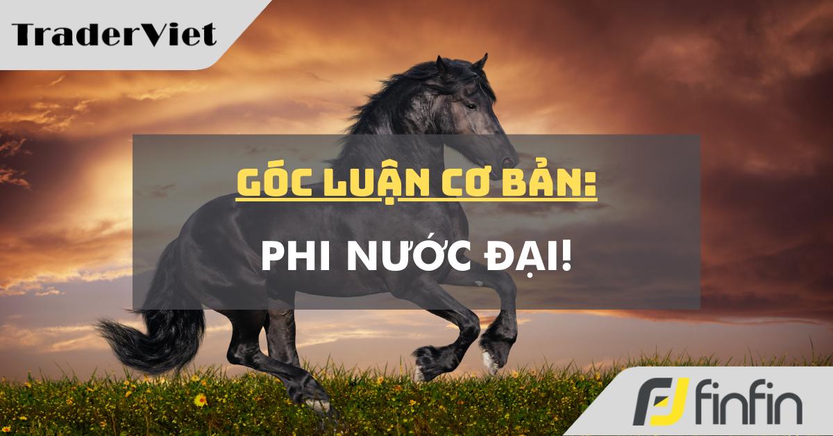 Góc luận Cơ bản 23/09: Phi nước đại!