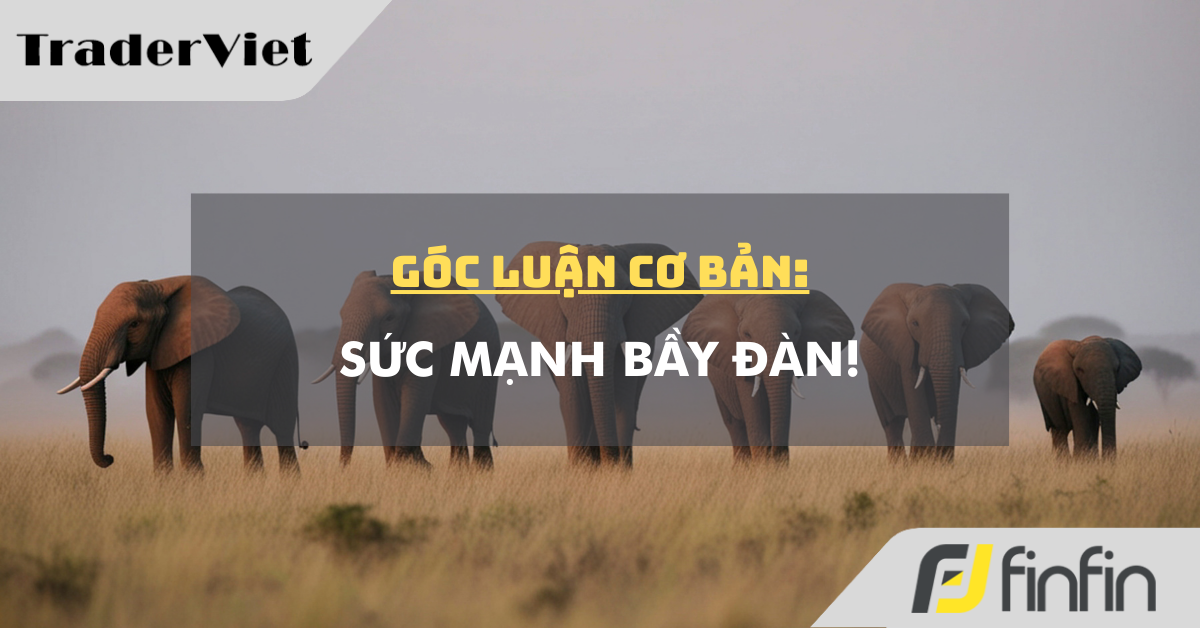 Góc luận Cơ bản 09/02: Sức mạnh bầy đàn!