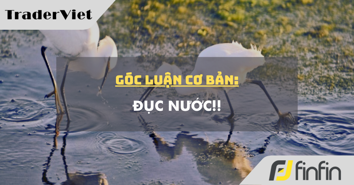Góc luận Cơ bản 24/03: Đục nước !!