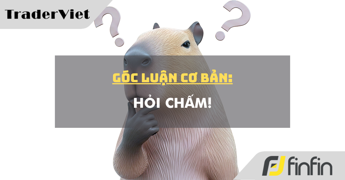 Góc luận Cơ bản 17/06: Hỏi chấm!