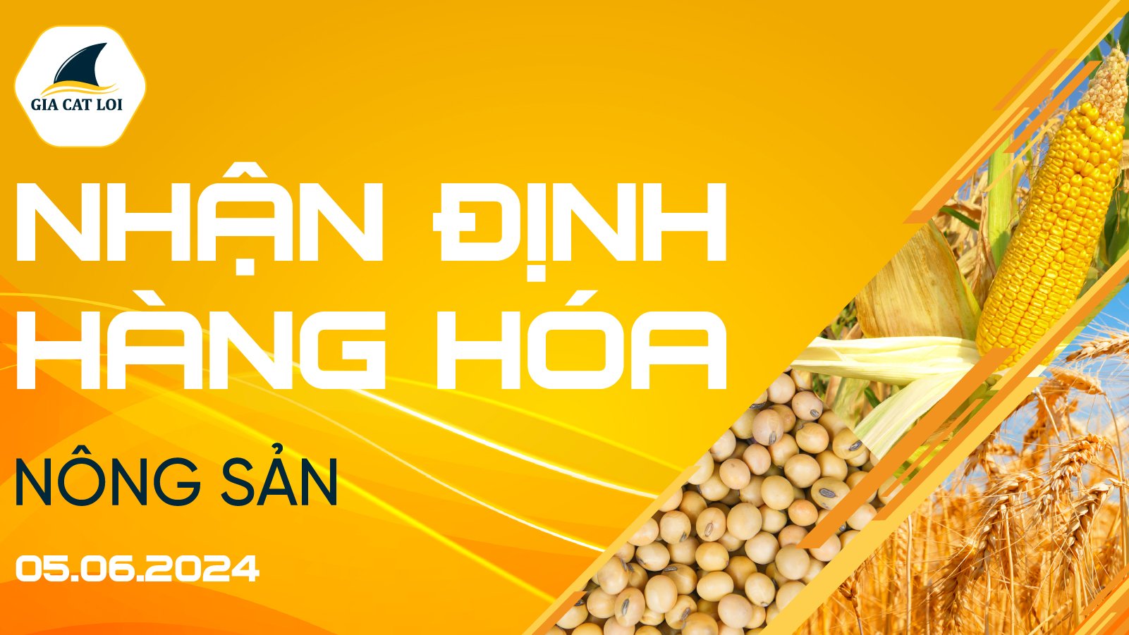 Nhận Định Thị Trường Nông Sản Ngày 05/06/2024