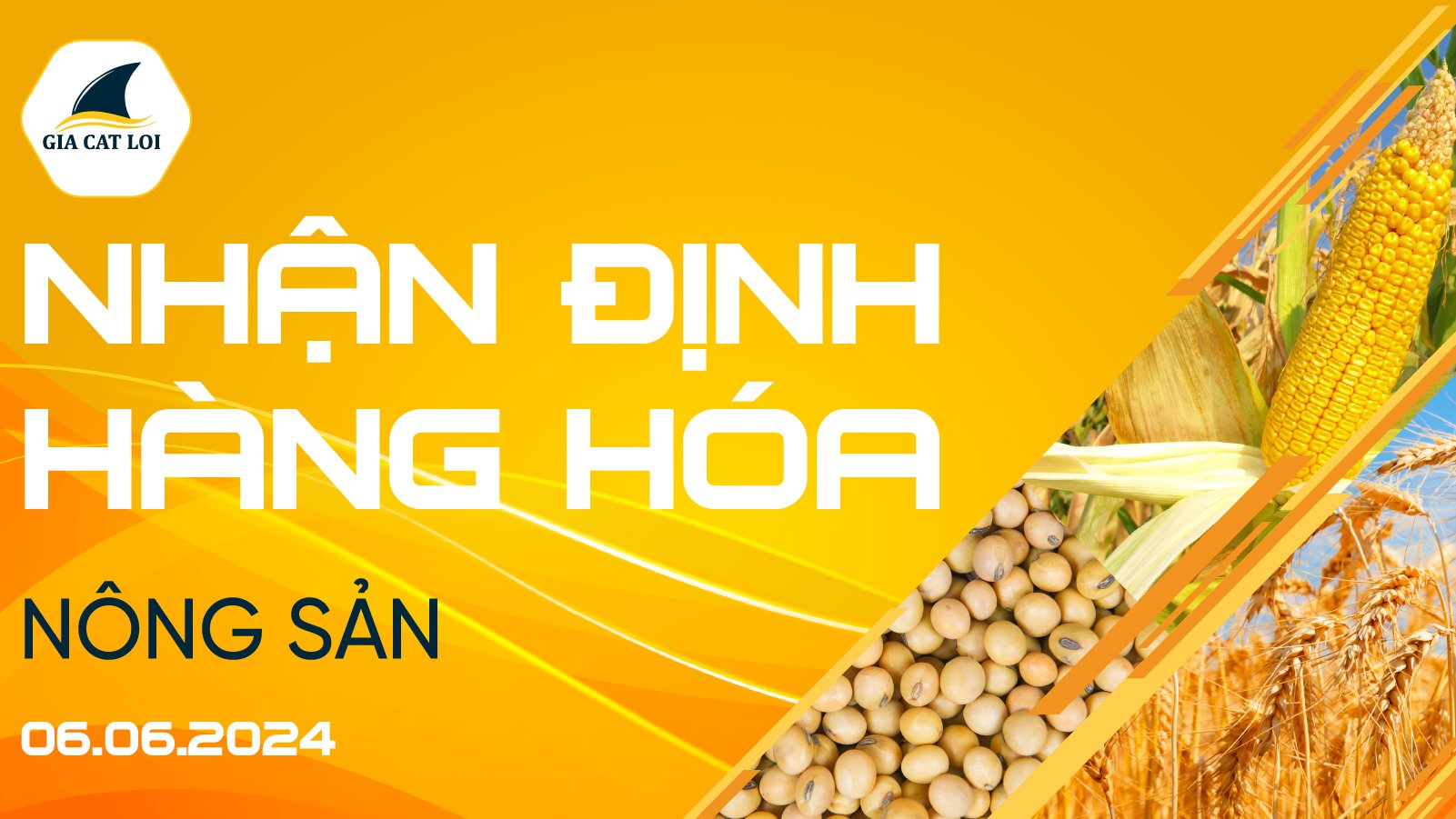 Nhận Định Thị Trường Nông Sản Ngày 06/06/2024