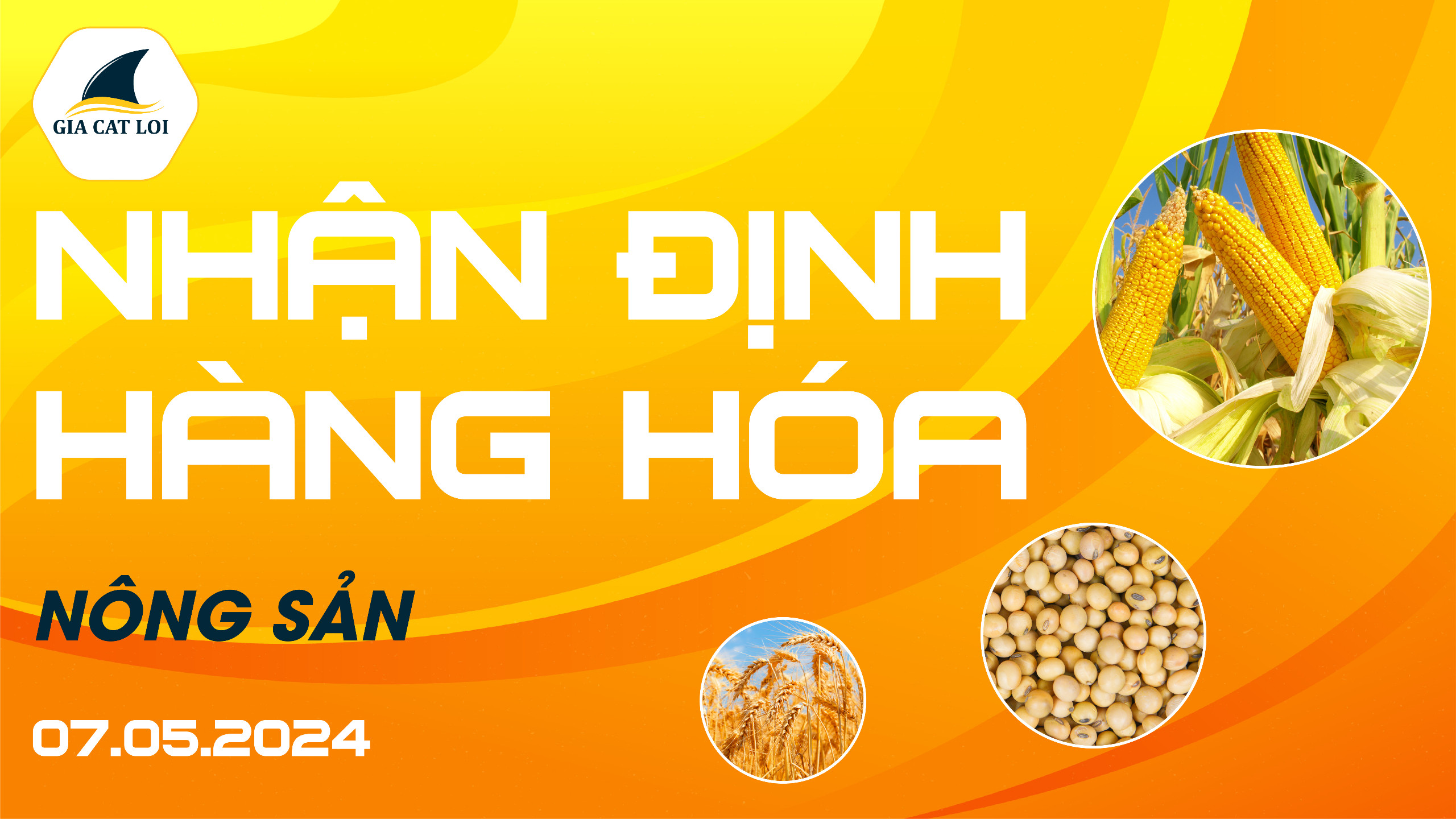 Nhận Định Thị Trường Nông Sản Ngày 07/05/2024