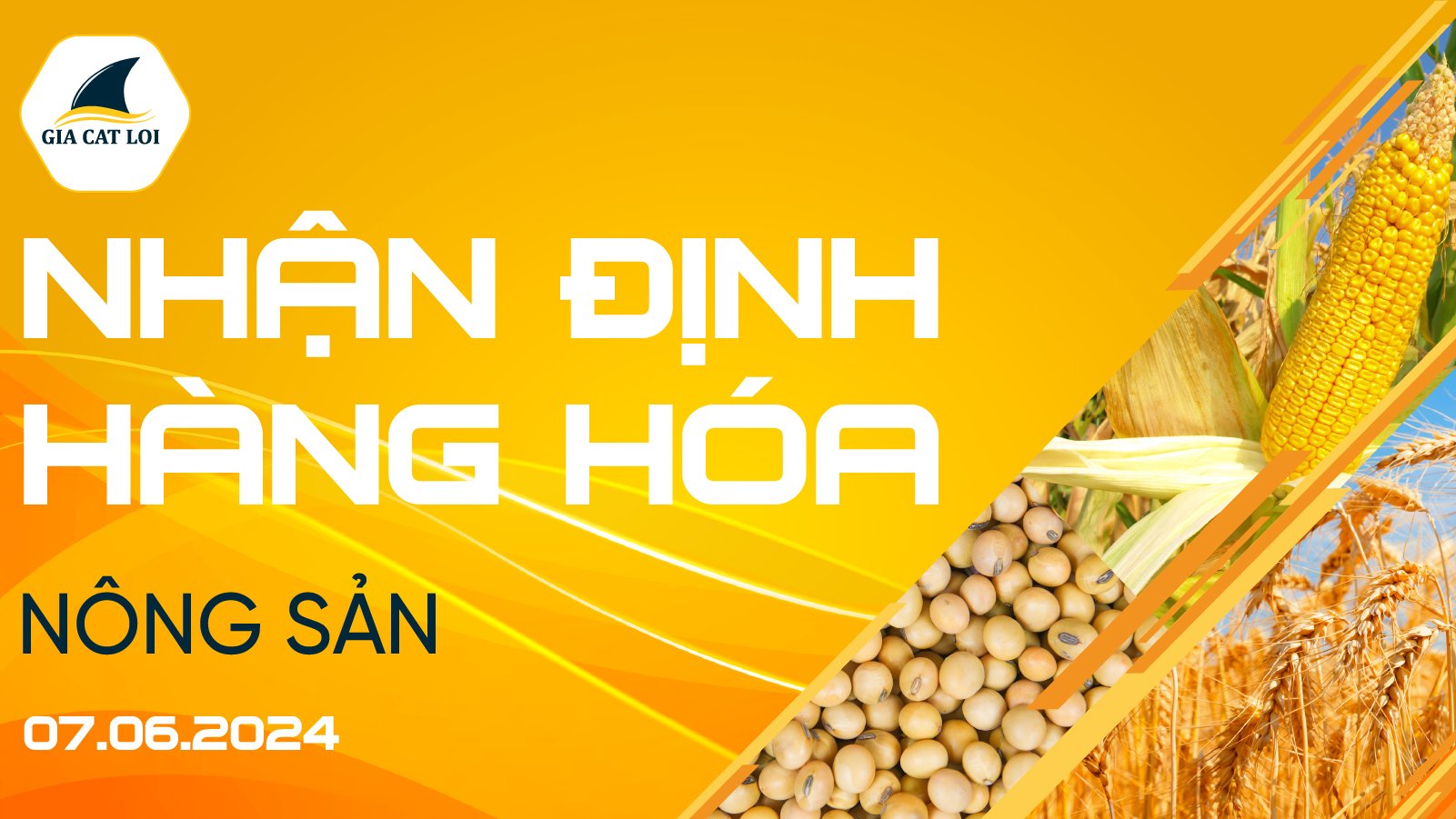 Nhận Định Thị Trường Nông Sản Ngày 07/06/2024