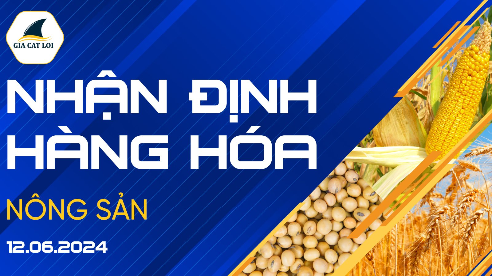 Nhận Định Thị Trường Nông Sản Ngày 12/06/2024