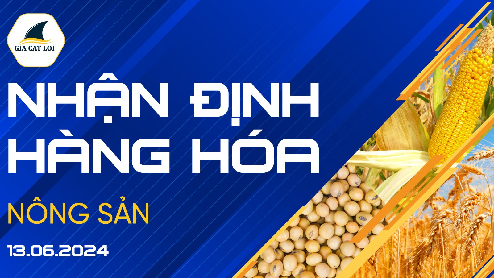 Nhận Định Thị Trường Nông Sản Ngày 13/06/2024